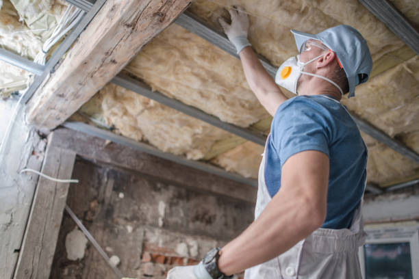 Best DIY Insulation Kits and Guidance in St Paris, OH