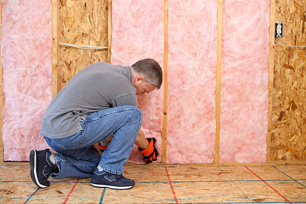 Best Insulation Maintenance and Repair in St Paris, OH